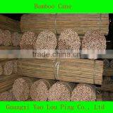 Fencing Pole Bamboo Cane Supplier thumbnail-1