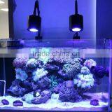 Wifi New Design Marine Led Lighting Sunrise Sunset Moonlight Marine Aquarium Led Lights UK thumbnail-4