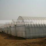 Steel Structure Building Arch Greenhouse thumbnail-1