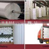 Cheap Price Nonwoven Roll, Spunbond Nonwoven Fabric,pp Non Woven Roll thumbnail-2