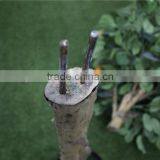 Artificial Bonsai Trees Artificial Orange Tree With Fruit Real Trunk Artificial Tree thumbnail-4