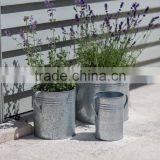 Classic Zinc Planter, Set of 3. thumbnail-1