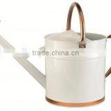 High Quality OEM Color Watering Can thumbnail-2