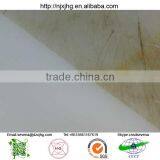 Cutting Fish and Meat Plastic Kitchen Chopping Board thumbnail-4