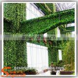 Hot Selling Latest Plant Artificial Walls New Design Customized Plant Artificial Wall thumbnail-6