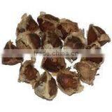 Moringa Olifera Seeds thumbnail-3