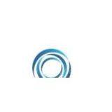 Shengdong New Energy Corporation