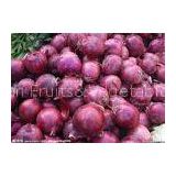 40mm Natural Fresh Onion 15kg / Mesh Bag , Wonderful Flavors For Cooking