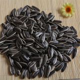 Inner Mongolia Sunflower Seedsa with Top Quality