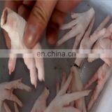 The Cheaper Price Russian Chicken Foot Cutting Machine/Duck Toe Cutting Machine thumbnail-2