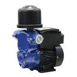 LW60-300A Self Priming Water Pump thumbnail-1
