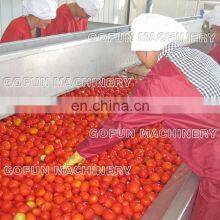 Concentrated Tomato Paste Processing Line thumbnail-2