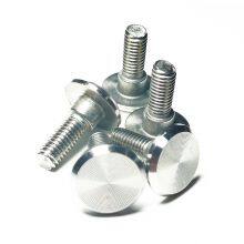 304 stainless steel large flat head CD decorative screw