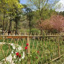 Stainless Steel Imitation Bamboo Guardrail Garden Vegetable Farm Courtyard Fence thumbnail-5