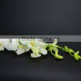 Gift Classical Decor Flower Orchid White thumbnail-4