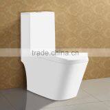 Porcelain Floor Standing One Piece Water Closet thumbnail-1
