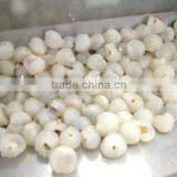 Lychee (Longyan) Pitting and Husking Machine From XinXiang Leading Machinery thumbnail-2