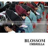 Xiamen Bosheng Umbrella Co., Ltd. company overview - view 1 thumbnail