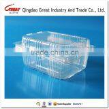 Clear Transparents Clamshell Blister Plastic Fruit Packaging Container 350Gram thumbnail-4
