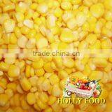 CANNED SWEET CORN HIGH QUALITY Super Sweet Canned Food NO GMO TAIWAN Yellow Corn Raw Material thumbnail-1