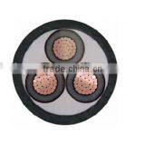 XLPE Insulated and PVC Sheathed MV XLPE Cable thumbnail-2