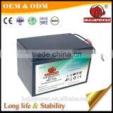 Maintenance Free 6-DZM-60 12v60ah Motive Power Vrla Battery BPE12-60 for Electric Bikes Tricycles Motorcycles Scooters Batteries thumbnail-3