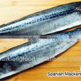 Spanish Mackerel Fillet thumbnail-1