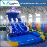 Barry New Blue Octopus Inflatable Water Slide With Pool , Seaworld Giant Water Pool Slide