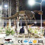 OA4016 High Quality Life Size Dinosaur Skeleton Model thumbnail-2