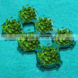 Hdpe Plastic Float for Flower thumbnail-1