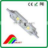 2 Pcs Smd Led Module 0.48W