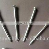 Common Wire Nail/Common Iron Wire Nail