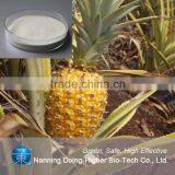 100% Natural Plant Pineapple Enzyme Bromelain thumbnail-2