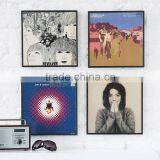 HOT Vinyl Record Frame