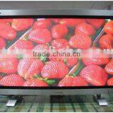 PDP LED EL VFD Phosphor