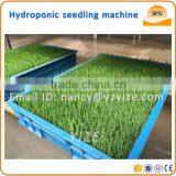 Barley Wheat Fodder Machine, Hydroponic Seedling Fodder Machine for Rabbit