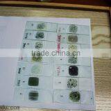 Microscope Prepared Slides ,Rock Slides, Rock Prepared Slides thumbnail-2