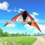 Dual Line Delta Stunt Kites - Curved Edge Kites thumbnail-1