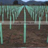 Coroplast,Corflute Tree Shelter thumbnail-6