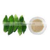 Natural Bitter Guard Powder thumbnail-1