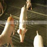 Zoo Animal Cages Heavy Crimped Wire Mesh