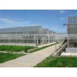 Greenhouse of Polycarbonate Sheet thumbnail-5