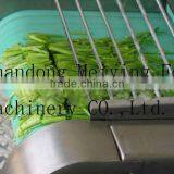 Hot Selling Multifunctional Vegetable Cutter Leaf Vegetable Cutting Machine