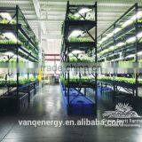 20W Led Grow Light Tube Vertical Farming Hydroponic/aquaponics Tomato Led Light thumbnail-3