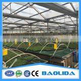 Commercial Greenhouse for Agriculture thumbnail-1