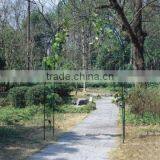 Iron Garden Arch GR221 thumbnail-1