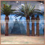 Big Artificial Canary Date Palm Tree for Indoor Landscape Decoration