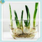 Candle Jar thumbnail-1