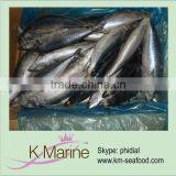 Wholesale Frozen Mackerel wr thumbnail-1