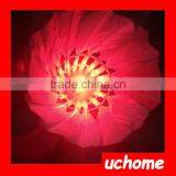 UCHOME 4Pcs Badminton Sets LED Shuttlecock Colorful Dark Night LED Badminton Birdies Glow In Dark Colorful Flash Shuttlecock thumbnail-3